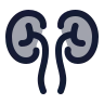 Kidneys icon preview