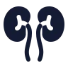 Kidneys icon preview