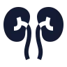 Kidneys icon preview