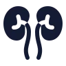 Kidneys icon preview