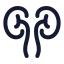 Kidneys icon with stroke rounded style