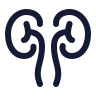 Kidneys icon preview