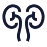 Kidneys icon preview