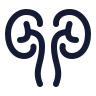 Kidneys icon preview