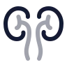 Kidneys icon preview
