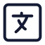 Languagesquare icon with stroke standard style