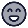 Lasso icon preview
