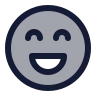 Lasso icon preview