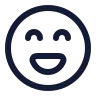Lasso icon preview