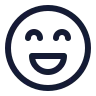Lasso icon preview