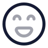 Lasso icon preview