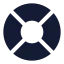 Lifebuoy icon with solid standard style