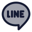 Line icon with duotone standard style