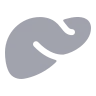 Liver icon preview