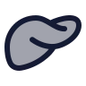 Liver icon preview