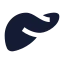 Liver icon with solid sharp style