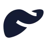 Liver icon preview