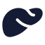 Liver icon with solid standard style