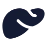 Liver icon preview