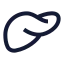Liver icon with stroke sharp style