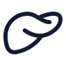 Liver icon preview