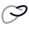 Liver icon preview