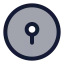 Lock icon with duotone rounded style
