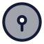 Lock icon with duotone standard style
