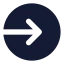 Logincircle icon with solid standard style