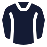 Long Sleeve Shirt icon preview