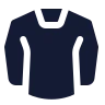 Long Sleeve Shirt icon preview