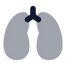 Lungs icon preview