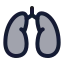 Lungs icon with duotone rounded style