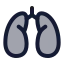 Lungs icon with duotone standard style