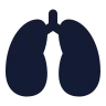 Lungs icon preview