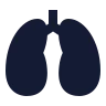 Lungs icon preview