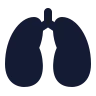 Lungs icon preview