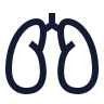 Lungs icon preview