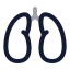 Lungs icon with twotone rounded style