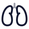 Lungs icon preview