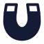 Magnet icon with solid standard style