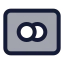 Mastercard icon with duotone standard style