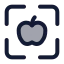 Mealscan icon with duotone standard style