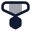 Medal icon with bulk rounded style