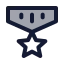 Medal icon with duotone standard style