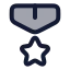 Medal icon with duotone rounded style
