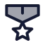 Medal icon with duotone standard style
