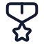 Medal icon with stroke rounded style