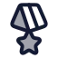 Medal icon with duotone rounded style