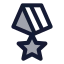 Medal icon with duotone standard style